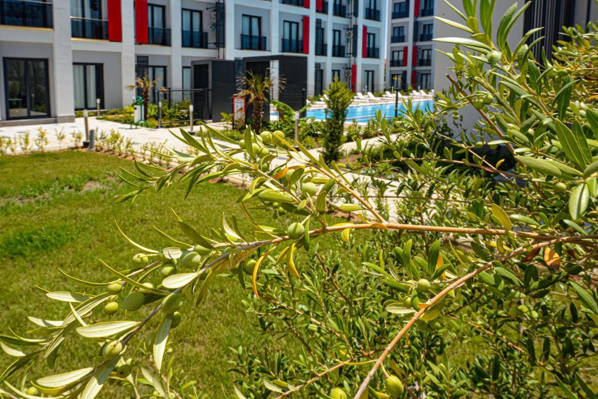 C Suites Antalia Airport Exterior photo